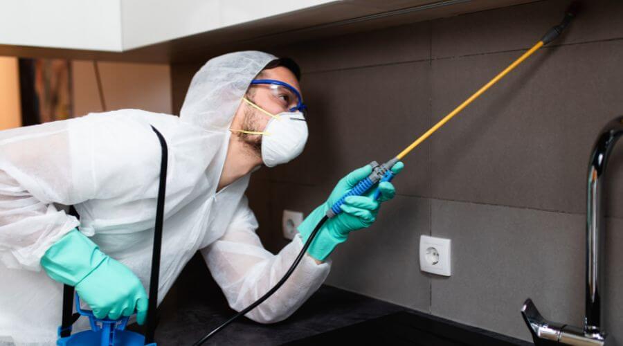 Why choose Restaurant Pest Control Peoria for restaurant pest control in Peoria